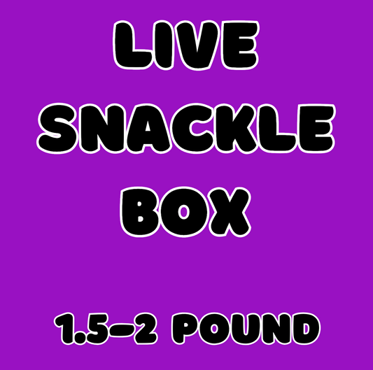 TT Live Snackle Box
