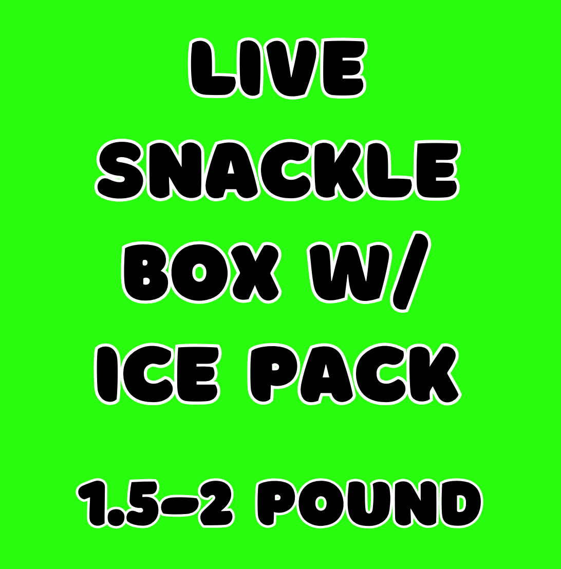 TT Live Snackle With Ice Pack