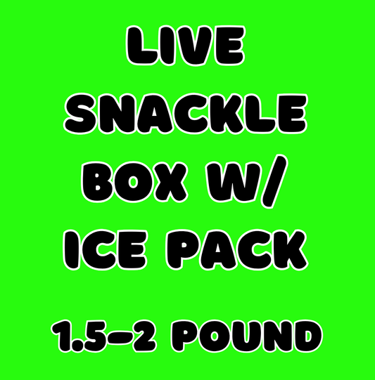 TT Live Snackle With Ice Pack